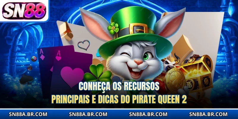 Conheça os recursos principais e dicas do Pirate Queen 2